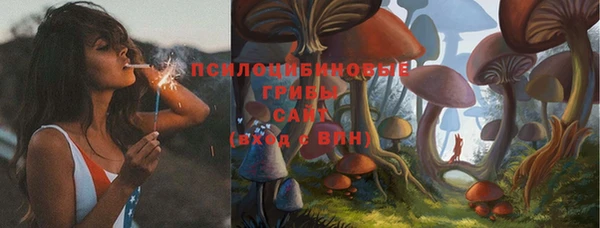 спиды Армянск