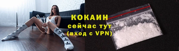гашик Ростов