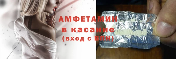 твердый Арсеньев