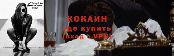 твердый Арсеньев