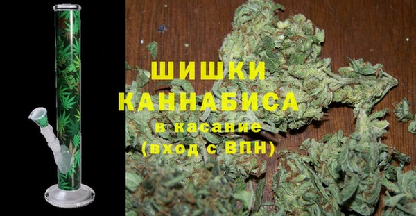 твердый Арсеньев