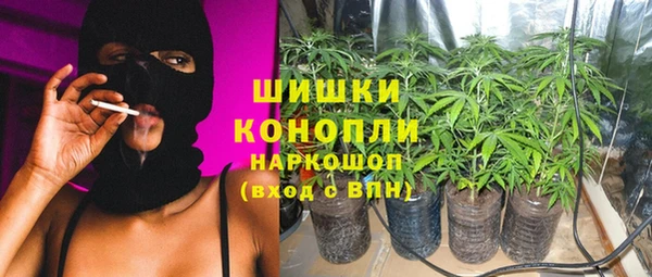 гашик Ростов
